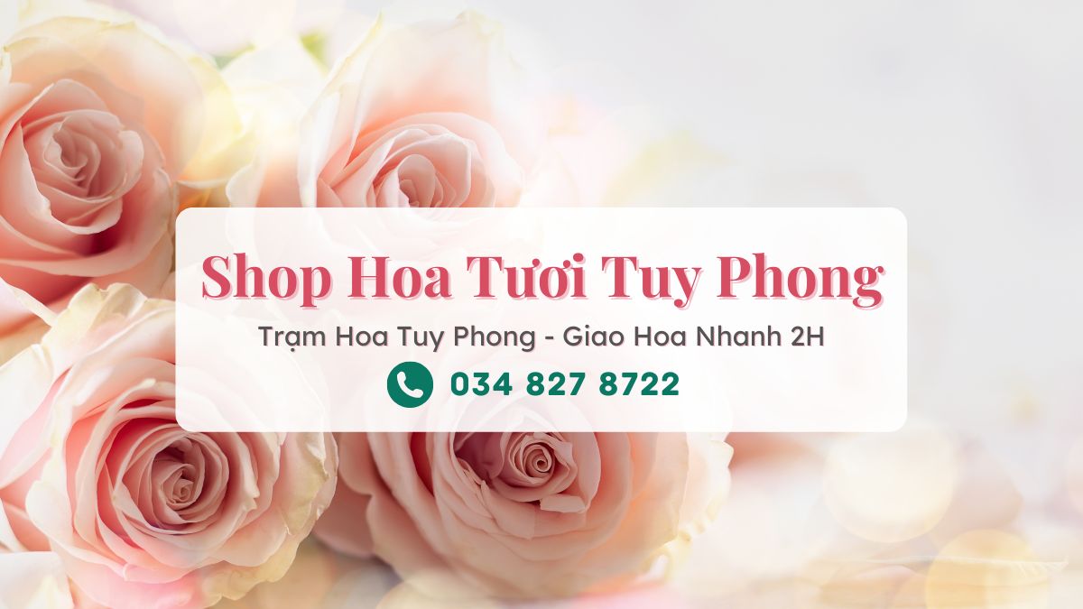 Shop hoa tươi Tuy Phong - Trạm Hoa Tuy Phong