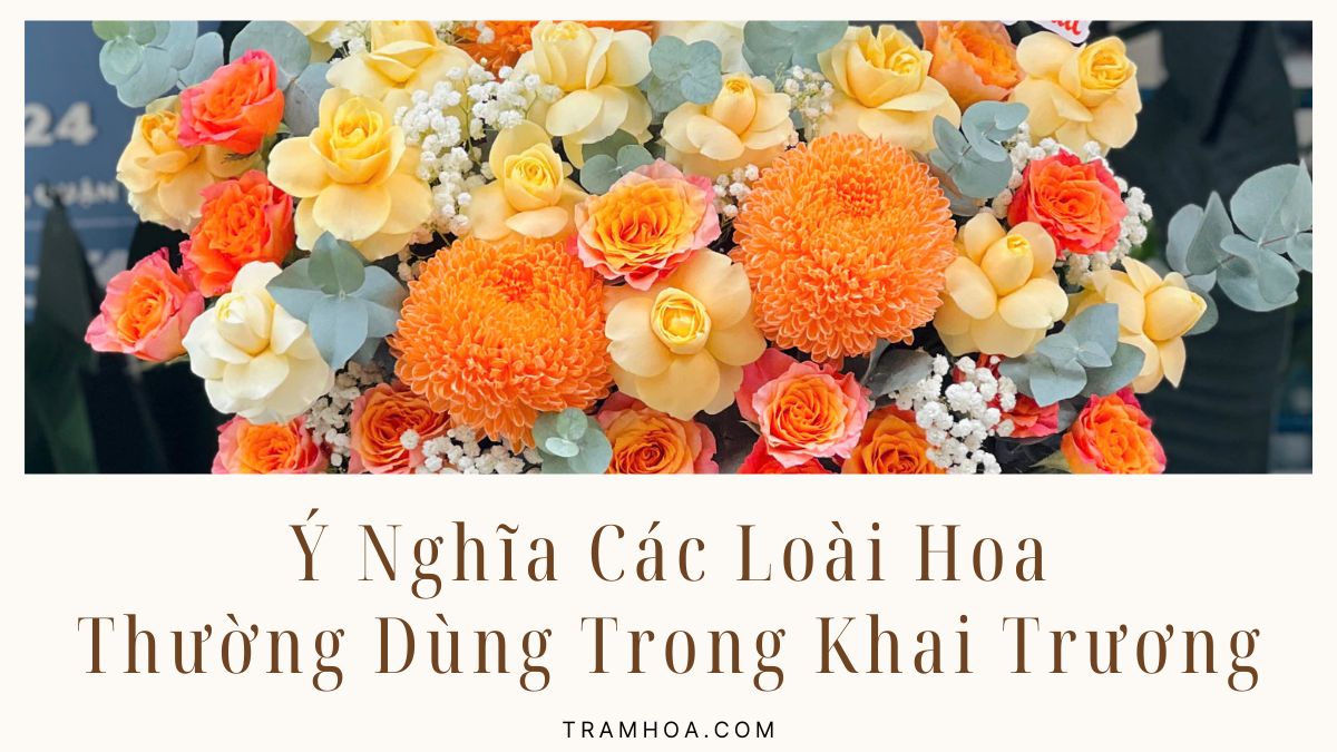 Ý Nghĩa Các Loài Hoa Thường Dùng Trong Khai Trương
