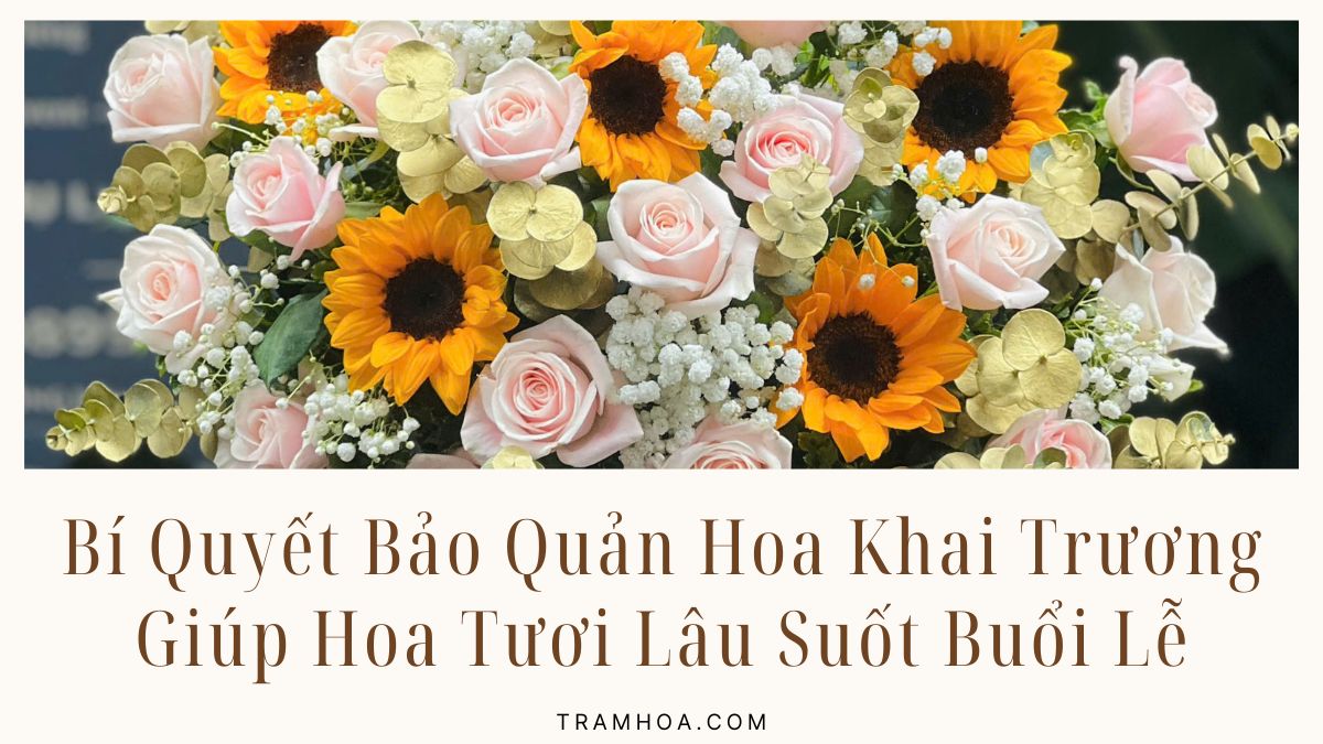 Bí Quyết Bảo Quản Hoa Khai Trương Giúp Hoa Tươi Lâu Suốt Buổi Lễ