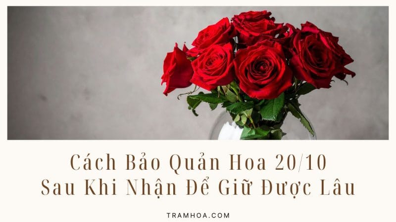 Cách Bảo Quản Hoa 20-10 Sau Khi Nhận Để Giữ Được Lâu