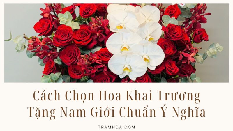 Cách Chọn Hoa Khai Trương Tặng Nam Giới Chuẩn Ý Nghĩa