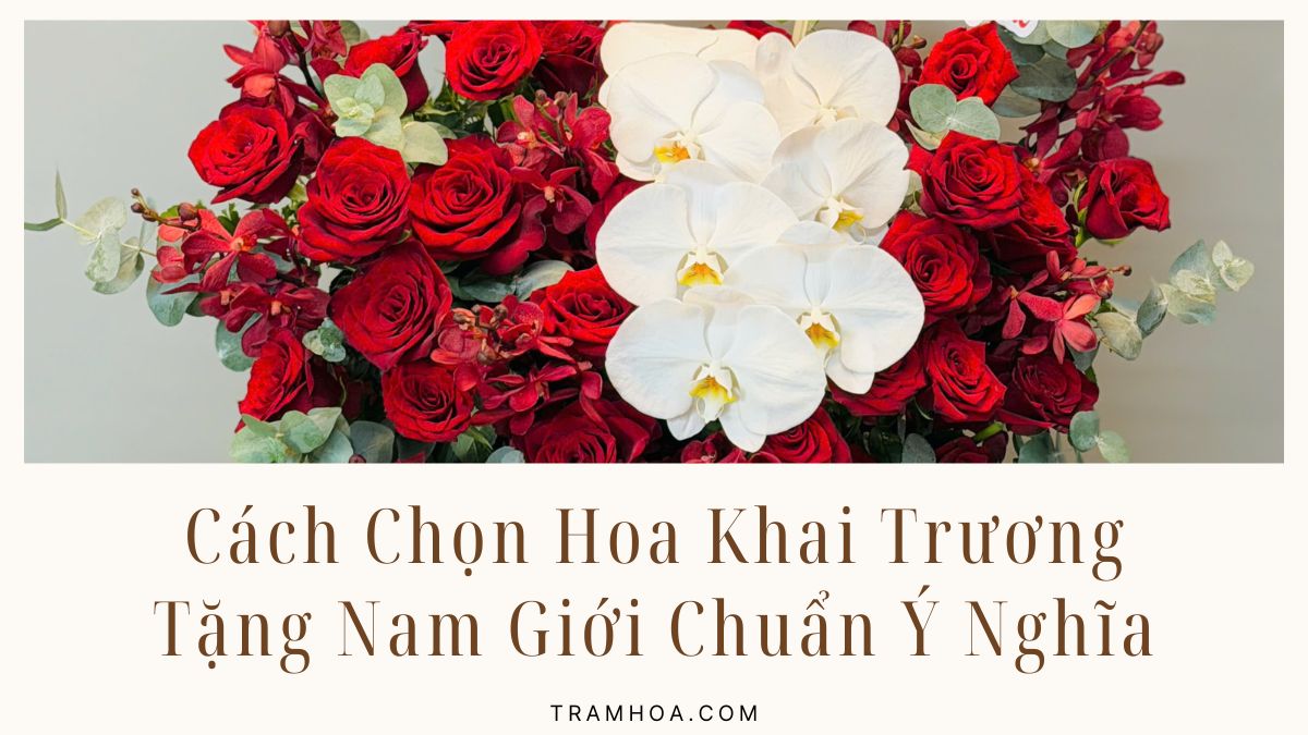 Cach Chon Hoa Khai Truong Tang Nam Gioi Chuan Y Nghia Cách Chọn Hoa Khai Trương Tặng Nam Giới Chuẩn Ý Nghĩa