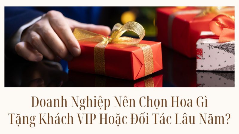 Doanh Nghiệp Nên Chọn Hoa Gì Để Tặng Khách VIP Hoặc Đối Tác Lâu Năm