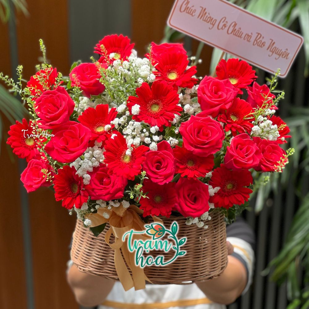 Khi ban gui tang mot gio hoa dong tien ban dang gui loi chuc tien vao nhu nuoc buon may ban dat Khi bạn gửi tặng một giỏ hoa đồng tiền, bạn đang gửi lời chúc “tiền vào như nước, buôn may bán đắt”.
