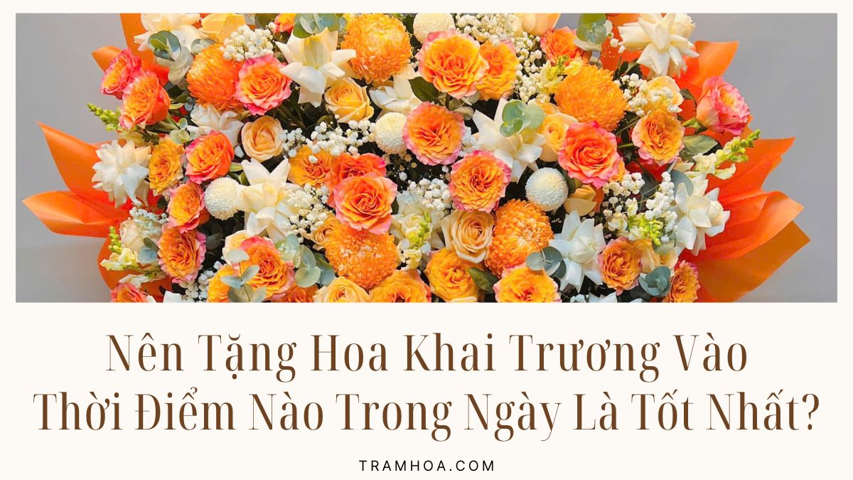 Nên Tặng Hoa Khai Trương Vào Thời Điểm Nào Trong Ngày Là Tốt Nhất