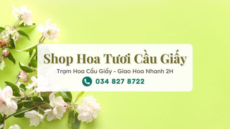 Shop Hoa Tươi Cầu Giấy Hà Nội – Trạm Hoa Cầu Giấy