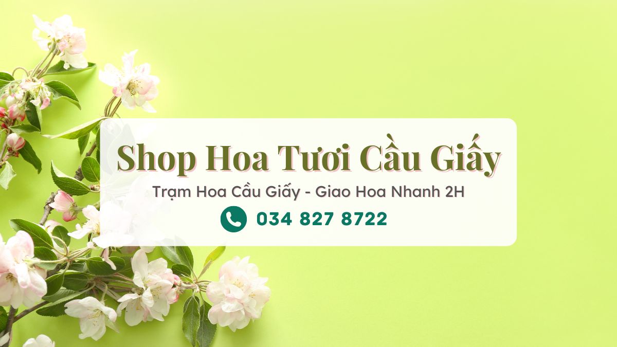 Shop Hoa Tươi Cầu Giấy Hà Nội – Trạm Hoa Cầu Giấy