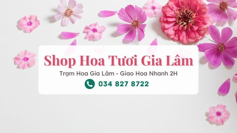Shop Hoa Tươi Gia Lâm Hà Nội - Trạm Hoa Gia Lâm