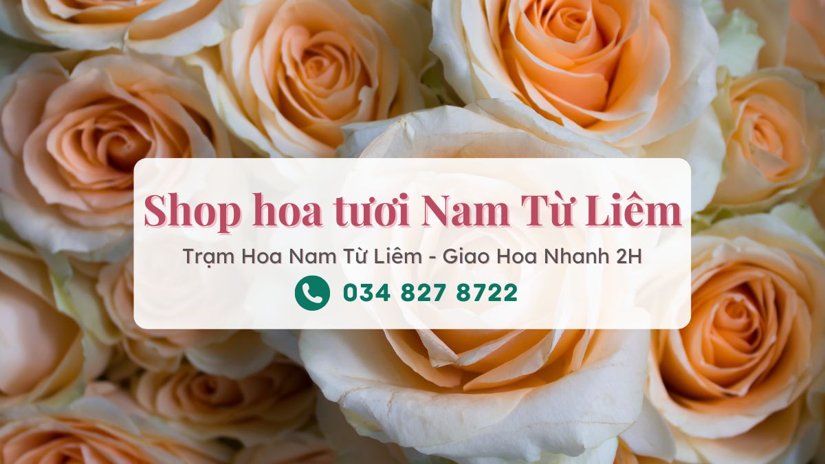Shop Hoa Tươi Nam Từ Liêm Hà Nội – Trạm Hoa Nam Từ Liêm