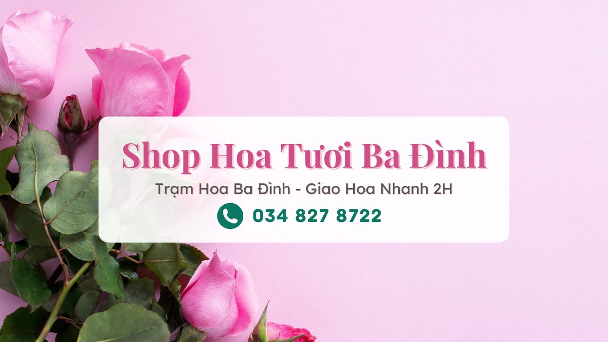 Shop hoa tươi Ba Đình Hà Nội - Trạm Hoa Ba Đình