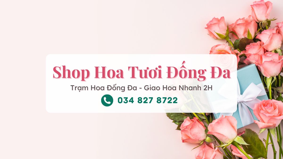 Shop hoa tươi Đống Đa Hà Nội – Trạm Hoa Đống Đa – Điện hoa Đống Đa