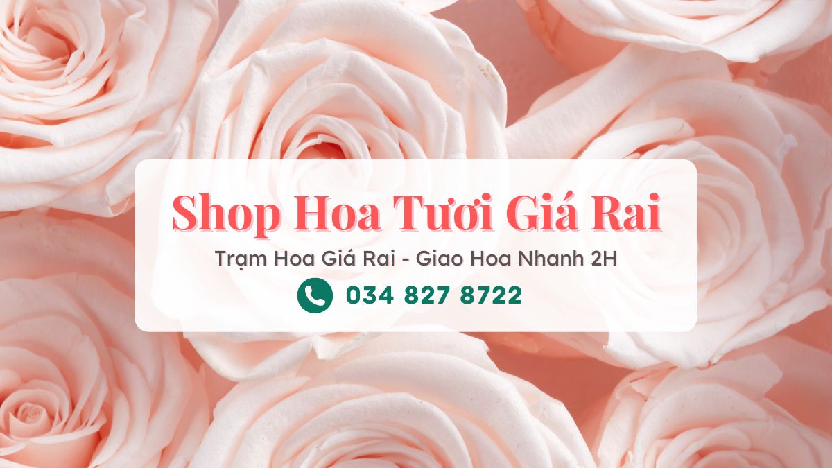 Shop hoa tuoi Gia Rai Tram Hoa Gia Rai Shop hoa tươi Giá Rai - Trạm Hoa Giá Rai