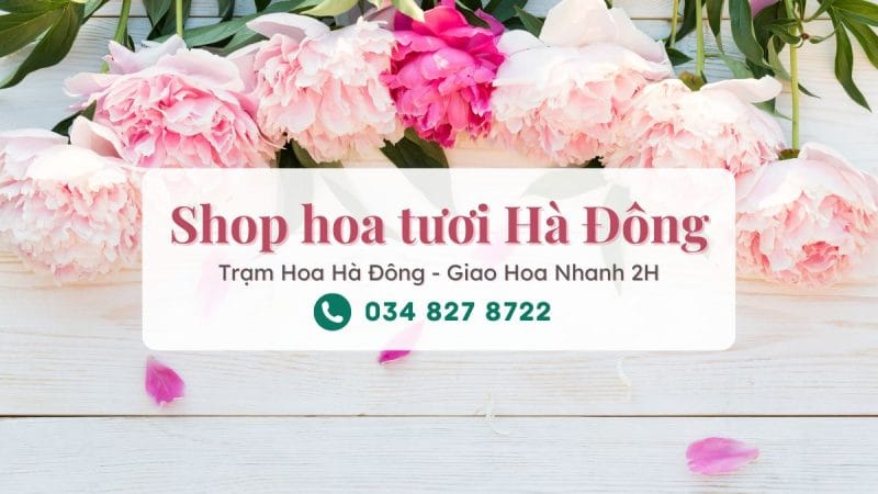 Shop hoa tươi Hà Đông Hà Nội – Trạm Hoa Hà Đông