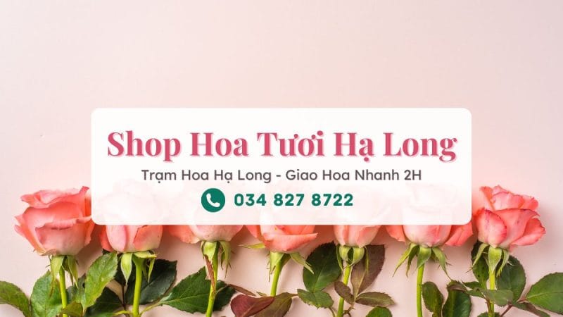 Shop hoa tươi Hạ Long Quảng Ninh – Trạm Hoa Hạ Long