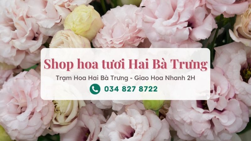Shop hoa tươi Hai Bà Trưng Hà Nội – Trạm Hoa Hai Bà Trưng