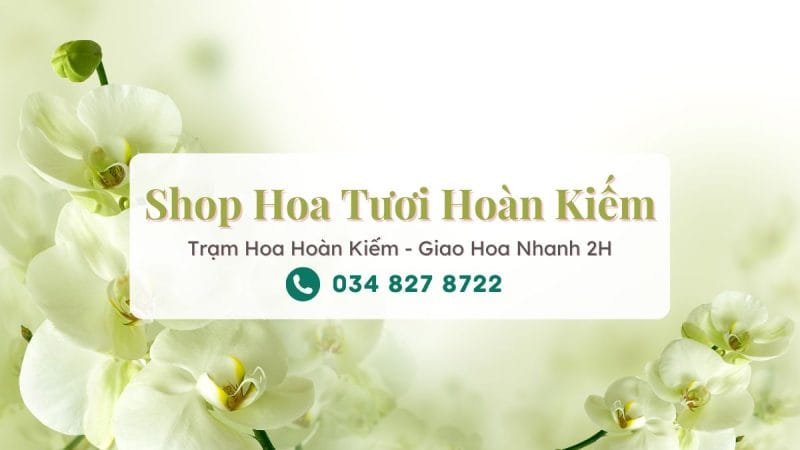 Shop hoa tươi Hoàn Kiếm Hà Nội – Trạm Hoa Hoàn Kiếm
