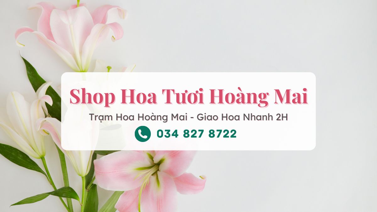 Shop hoa tươi Hoàng Mai Hà Nội – Trạm Hoa Hoàng Mai