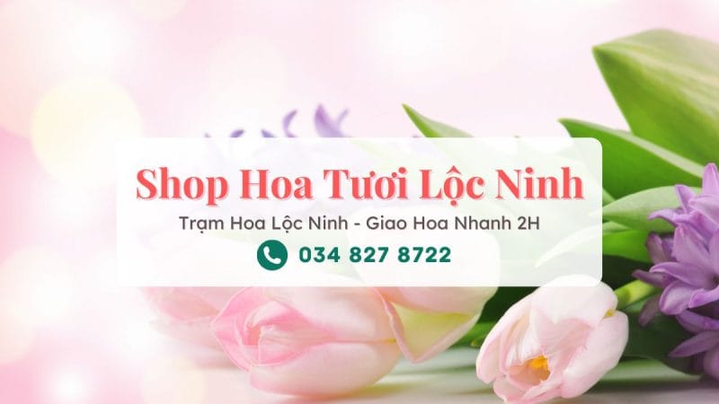 Shop hoa tươi Lộc Ninh - Trạm Hoa Lộc Ninh