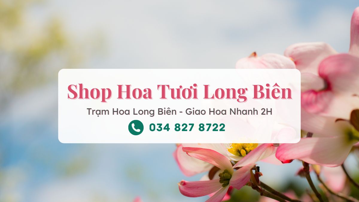 Shop hoa tươi Long Biên Hà Nội - Trạm Hoa Long Biên