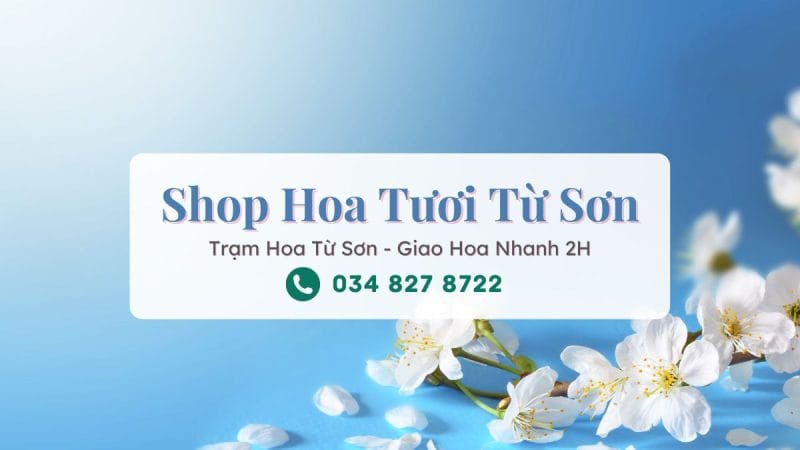 Shop hoa tươi Từ Sơn Bắc Ninh – Trạm Hoa Từ Sơn
