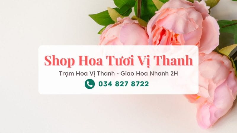 Shop hoa tươi Vị Thanh – Trạm Hoa Vị Thanh