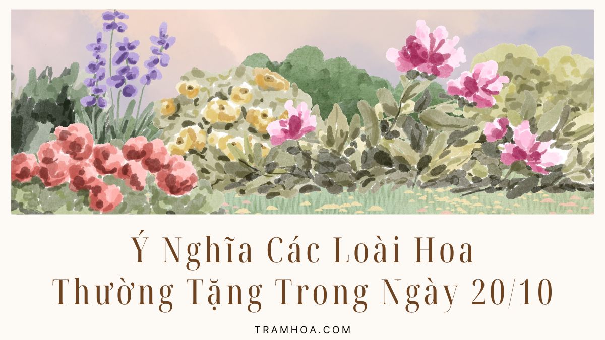 Ý Nghĩa Các Loài Hoa Thường Tặng Trong Ngày 20-10