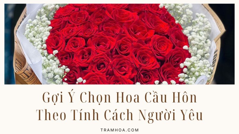 Gợi Ý Chọn Hoa Cầu Hôn Theo Tính Cách Người Yêu