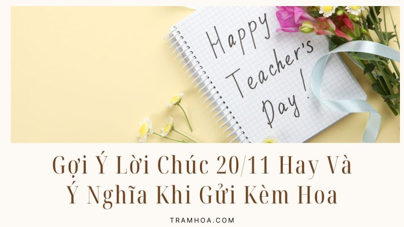 Gợi Ý Lời Chúc 20:11 Hay Và Ý Nghĩa Khi Gửi Kèm Hoa