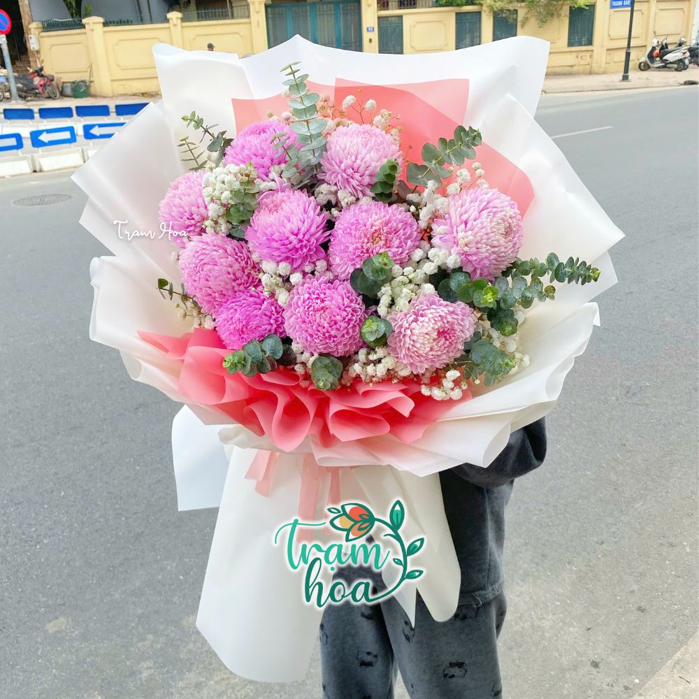 Cúc mẫu đơn hồng - Loài hoa phổ biến thường được sử dụng để tặng trong ngày 8-3