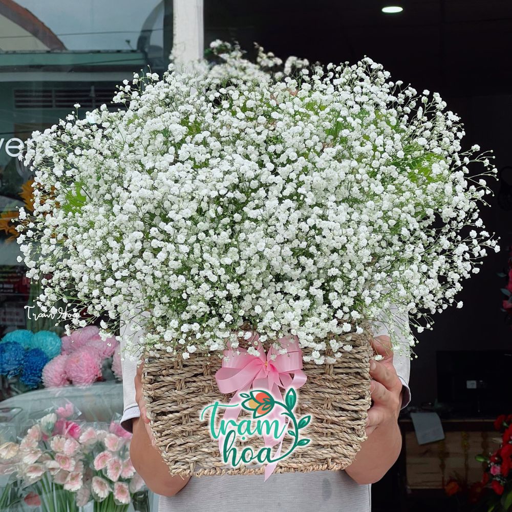 Giỏ hoa baby trắng tặng thôi nôi bé gái ý nghĩa