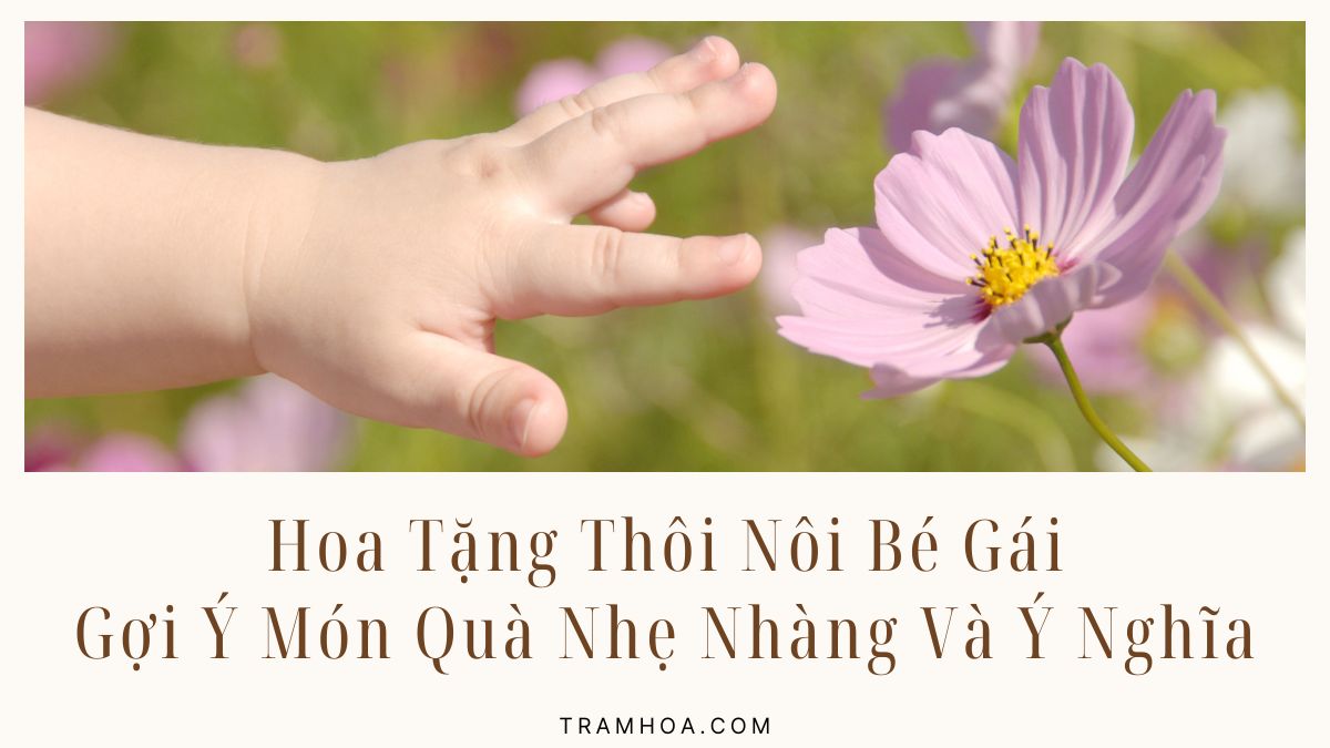 Hoa Tặng Thôi Nôi Bé Gái – Gợi Ý Món Quà Nhẹ Nhàng Và Ý Nghĩa