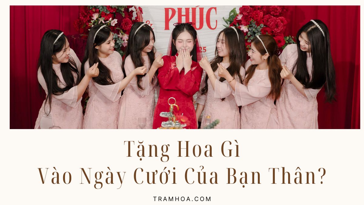 Tặng Hoa Gì Vào Ngày Cưới Của Bạn Thân