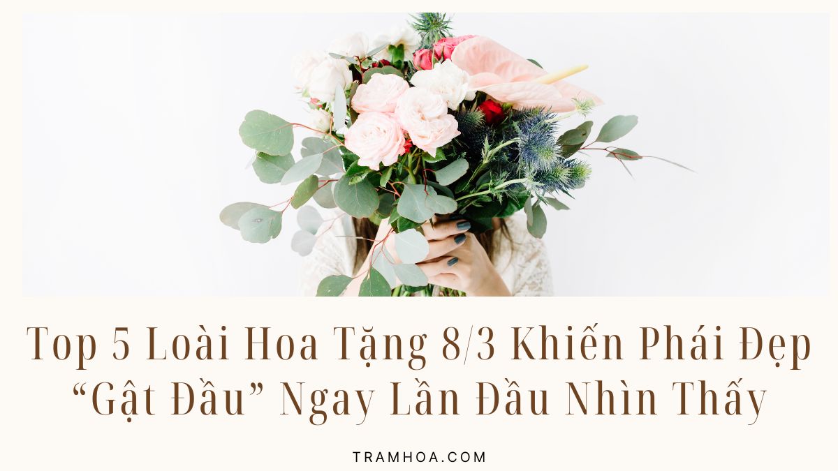 Top 5 Loài Hoa Tặng 8/3 Khiến Phái Đẹp “Gật Đầu” Ngay Lần Đầu Nhìn Thấy