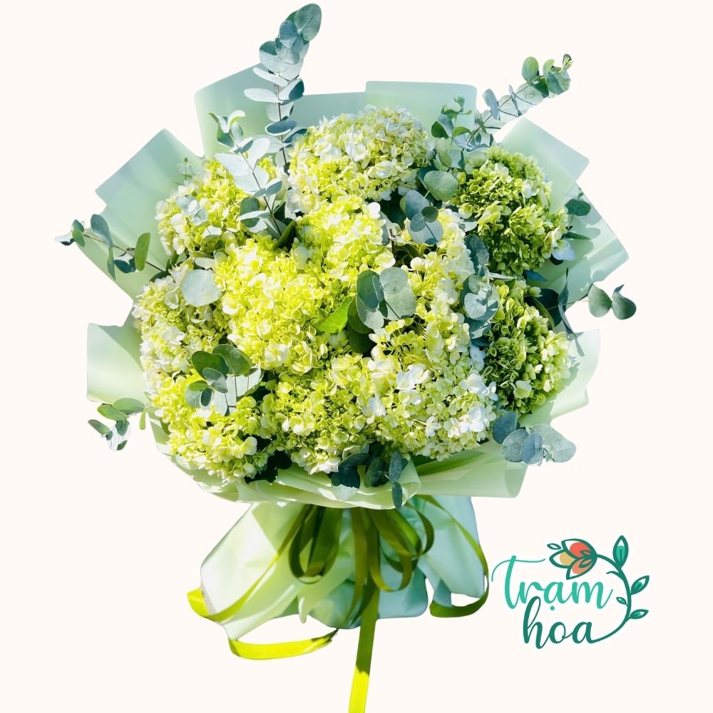 Bó hoa tú cầu dành tặng người yêu cung song ngư dạt dào cảm xúc