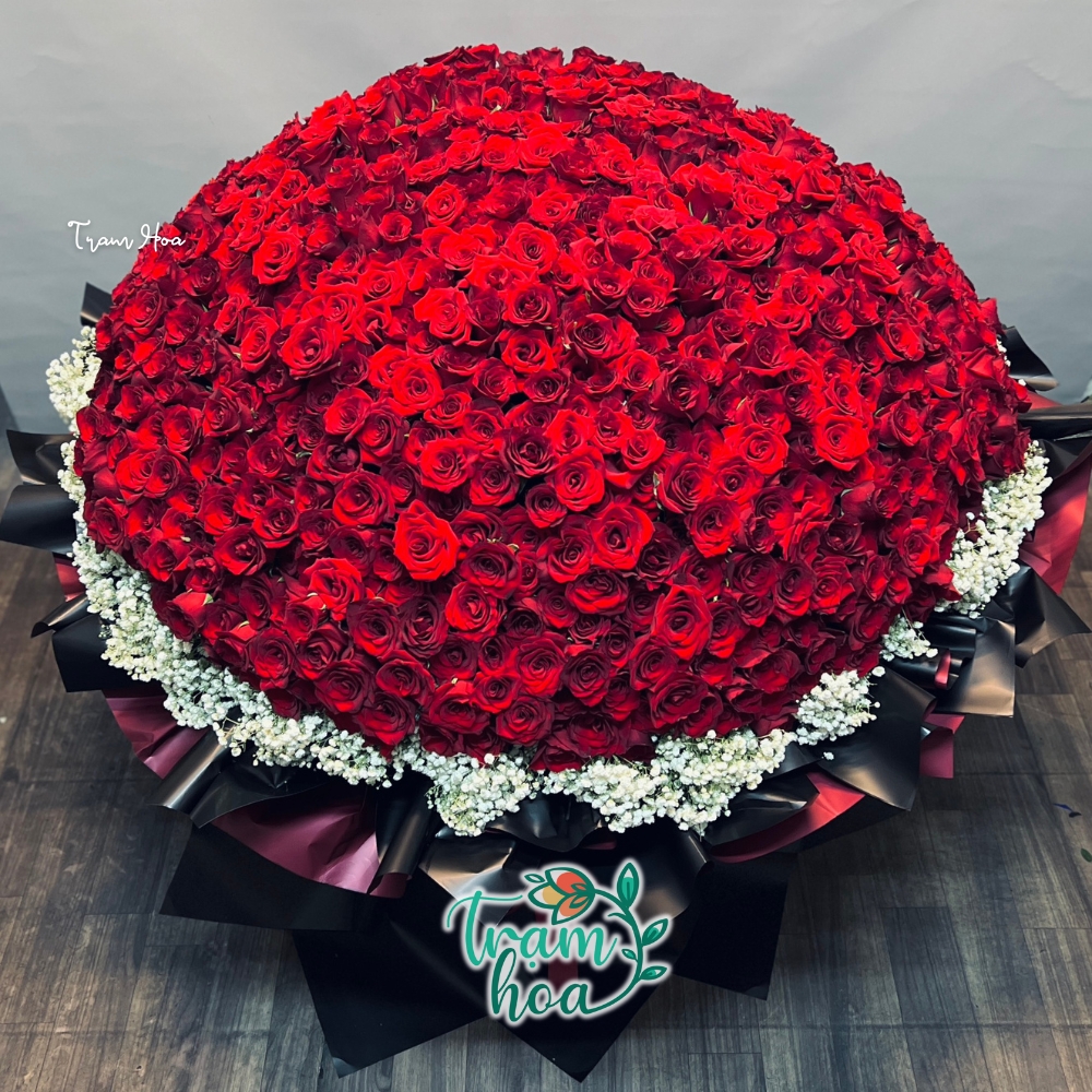 Hoa hong do the hien tinh yeu nong chay su cam ket manh me va khang dinh cam xuc ro rang Hoa hồng đỏ thể hiện tình yêu nồng cháy, sự cam kết mạnh mẽ và khẳng định cảm xúc rõ ràng