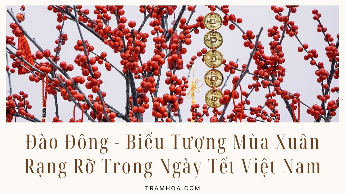 Đào Đông - Biểu Tượng Mùa Xuân Rạng Rỡ Trong Ngày Tết Việt Nam