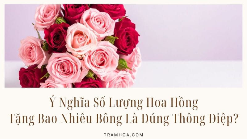 Ý Nghĩa Số Lượng Hoa Hồng: Tặng Bao Nhiêu Bông Là Đúng Thông Điệp?
