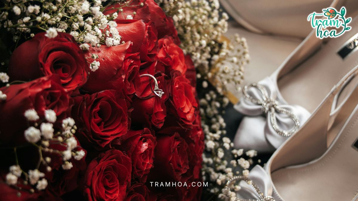 Hoa hồng đỏ thường được lựa chọn cho dịp cầu hôn