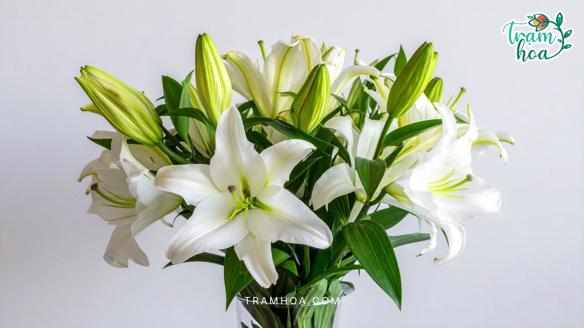 Hoa huệ trắng thường xuất hiện trong nhiều nghi lễ thờ cúng