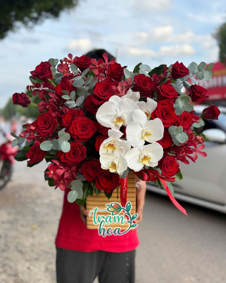 Hoa sinh nhat Tay Ninh tang nguoi than Hoa sinh nhật Tây Ninh tặng người thân