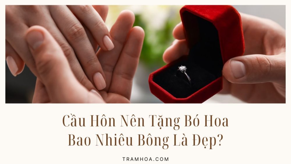 Cầu Hôn Nên Tặng Bó Hoa Bao Nhiêu Bông Là Đẹp?