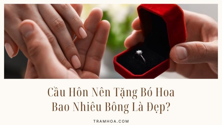Cầu Hôn Nên Tặng Bó Hoa Bao Nhiêu Bông Là Đẹp?