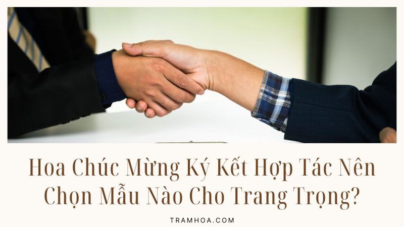 Hoa Chúc Mừng Ký Kết Hợp Tác Nên Chọn Mẫu Nào Cho Trang Trọng?