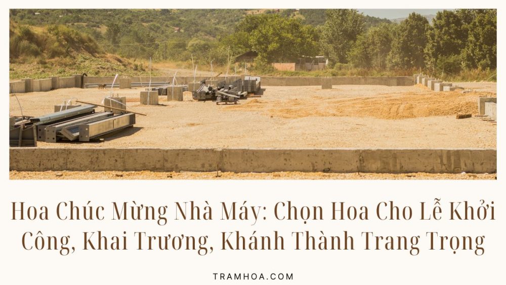 Hoa Chúc Mừng Nhà Máy: Chọn Hoa Cho Lễ Khởi Công, Khai Trương, Khánh Thành Trang Trọng