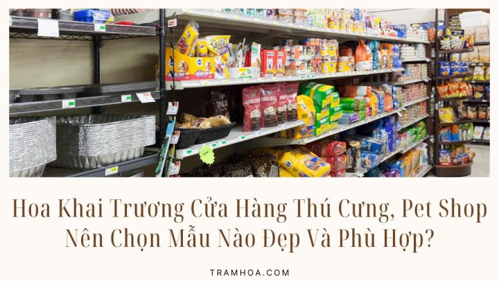 Hoa Khai Trương Cửa Hàng Thú Cưng, Pet Shop Nên Chọn Mẫu Nào Đẹp Và Phù Hợp?