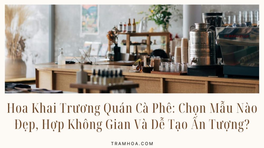 Hoa Khai Trương Quán Cà Phê: Chọn Mẫu Nào Đẹp, Hợp Không Gian Và Dễ Tạo Ấn Tượng?
