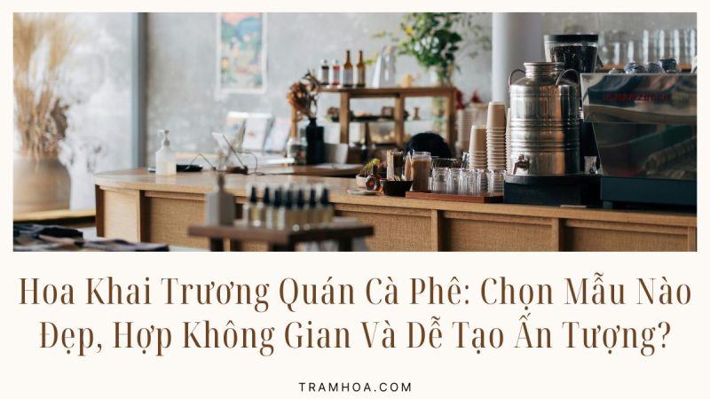 Hoa Khai Trương Quán Cà Phê: Chọn Mẫu Nào Đẹp, Hợp Không Gian Và Dễ Tạo Ấn Tượng?