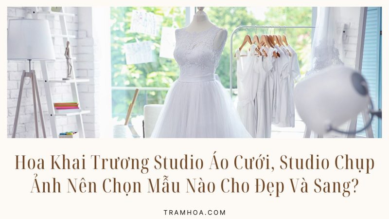 Hoa Khai Trương Studio Áo Cưới, Studio Chụp Ảnh Nên Chọn Mẫu Nào Cho Đẹp Và Sang?