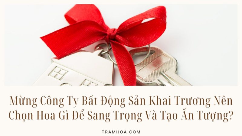 Mừng Công Ty Bất Động Sản Khai Trương Nên Chọn Hoa Gì Để Sang Trọng Và Tạo Ấn Tượng?