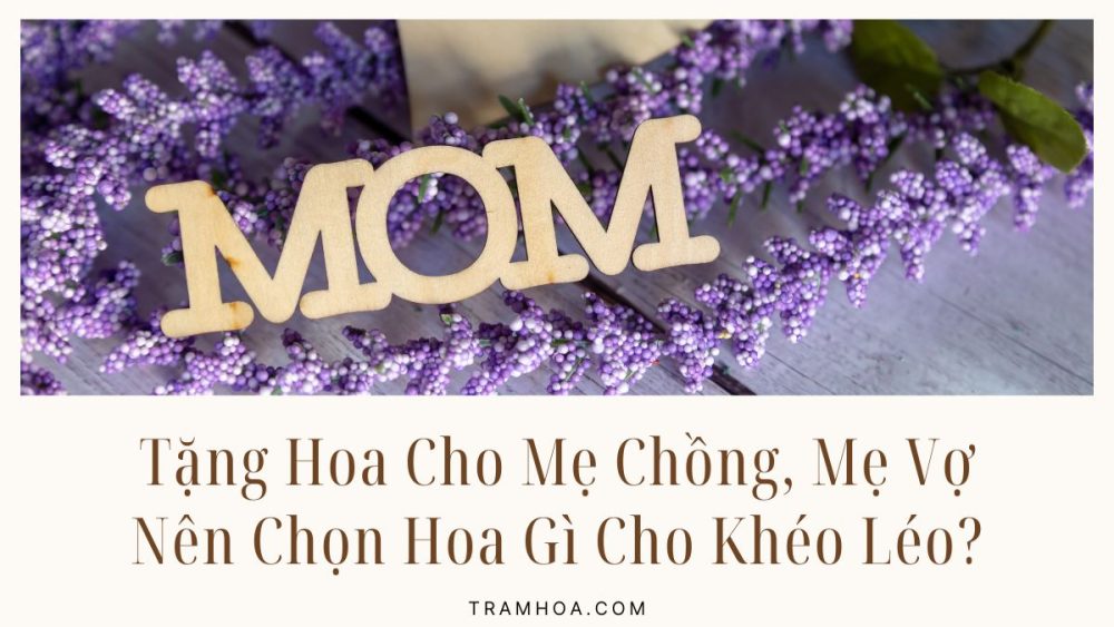 Tặng Hoa Cho Mẹ Chồng, Mẹ Vợ Nên Chọn Hoa Gì Cho Tinh Tế Và Ý Nghĩa?